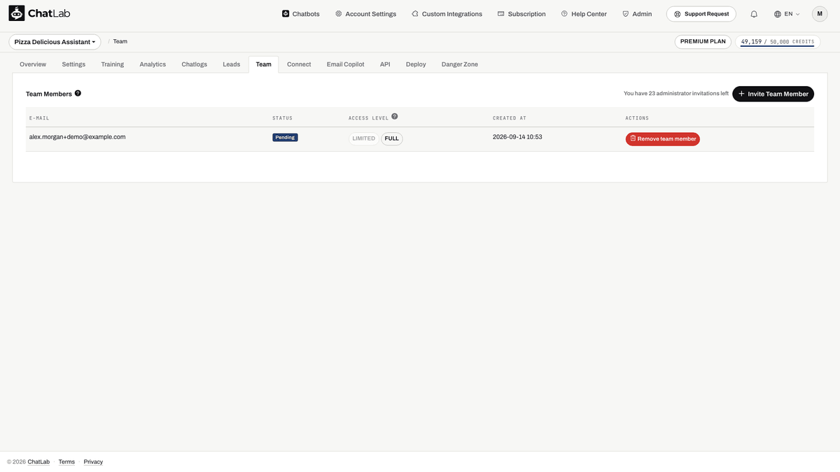 Team page showing pending invitation status