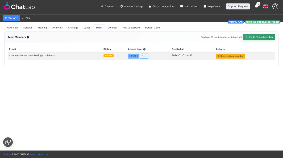 Team page showing pending invitation status
