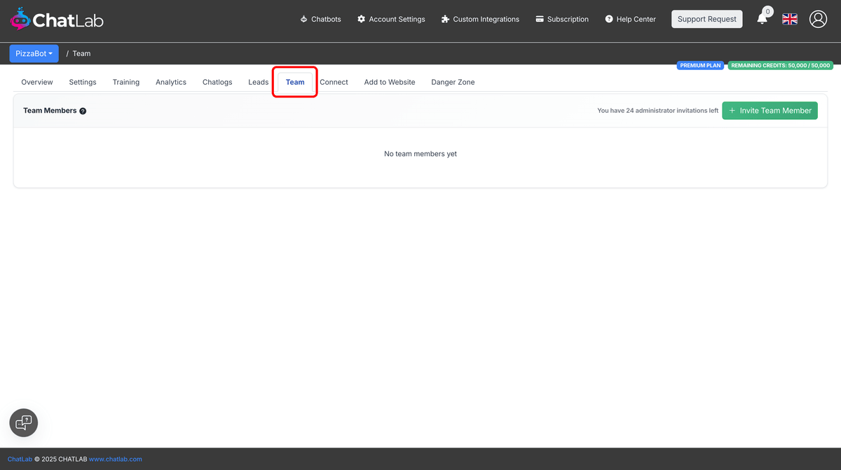 Team tab showing empty state before any invitations