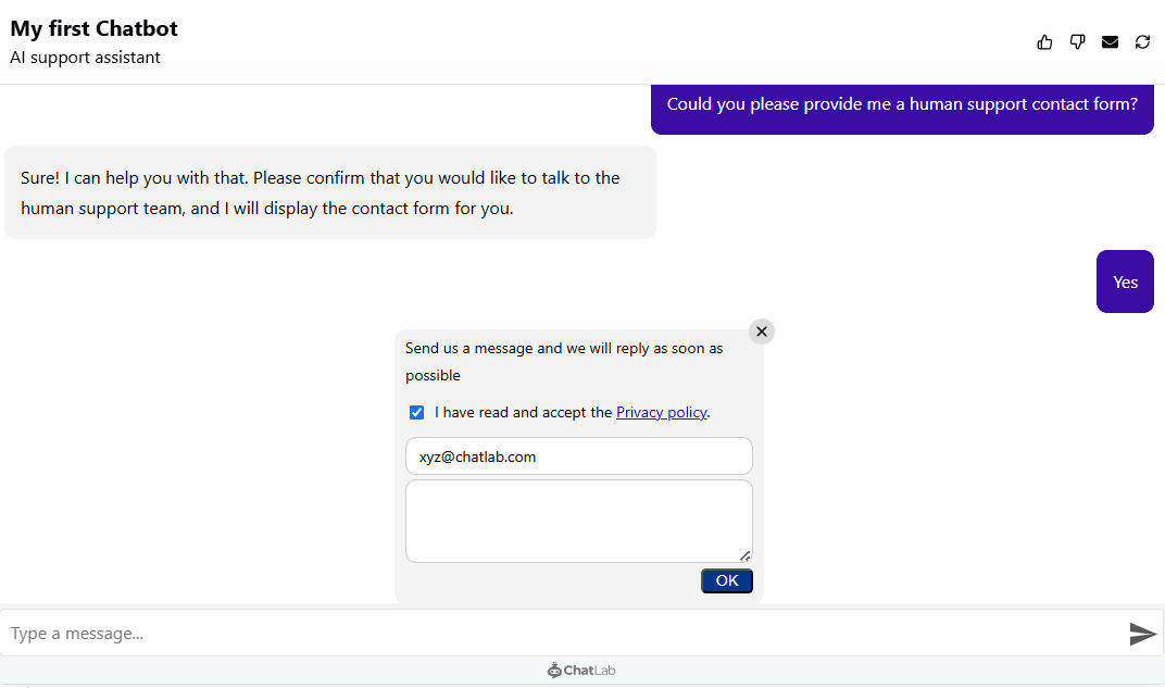 Privacy policy info in the lead collection form